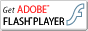 GetFlashPlayer
