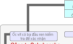 Hệ thống truy tìm nguồn gốc đo lường đáng tin cậy: